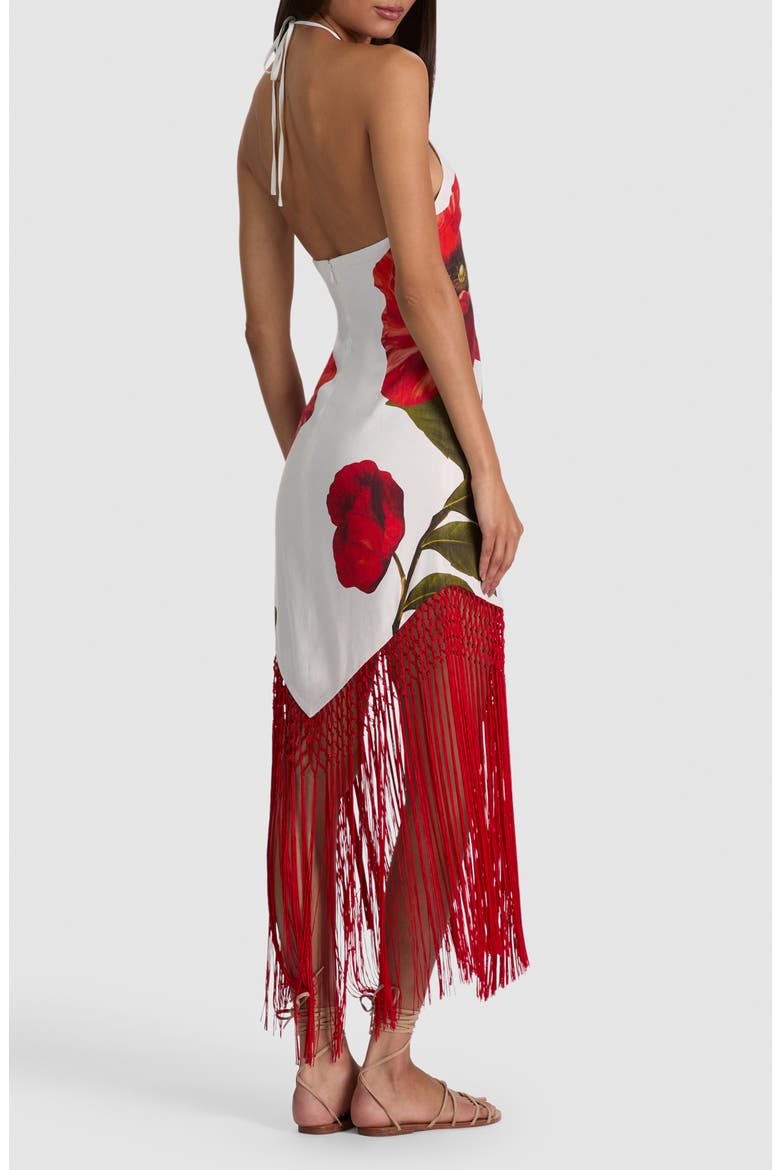 Mallory Fringe Halter Linen Blend Maxi Dress, Alternate, color, SUMMER POPPY