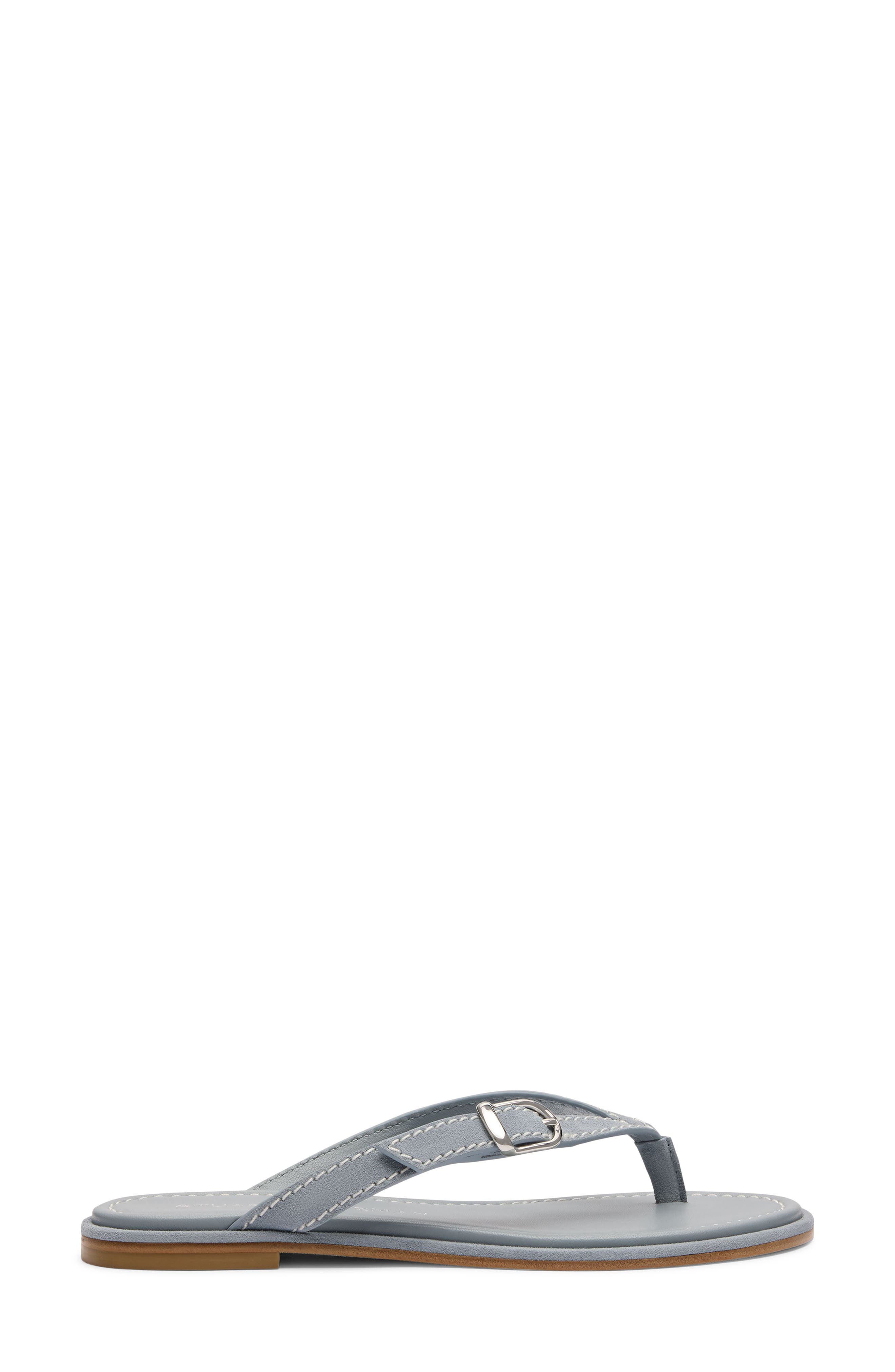 Park Thong Sandal, Alternate, color, BREEZY BLUE