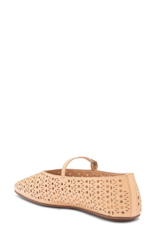 JEFFREY CAMPBELL JEFFREY CAMPBELL KHLOE PERFORATED SQUARE TOE FLAT 