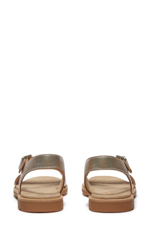 Timberland Calista Bay Metallic Womens Backstrap Sandal In Gold Metallic