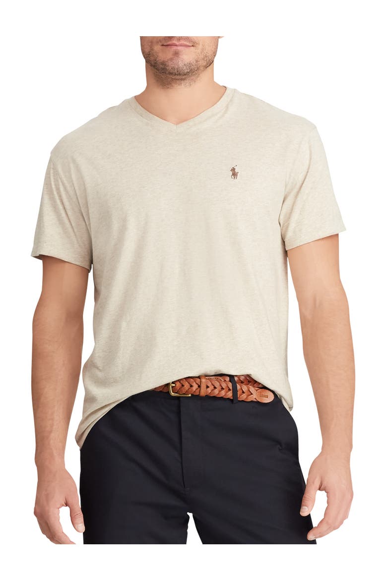 Big & Tall Classic Fit V-Neck T-Shirt, Main, color, DUNE HEATHER