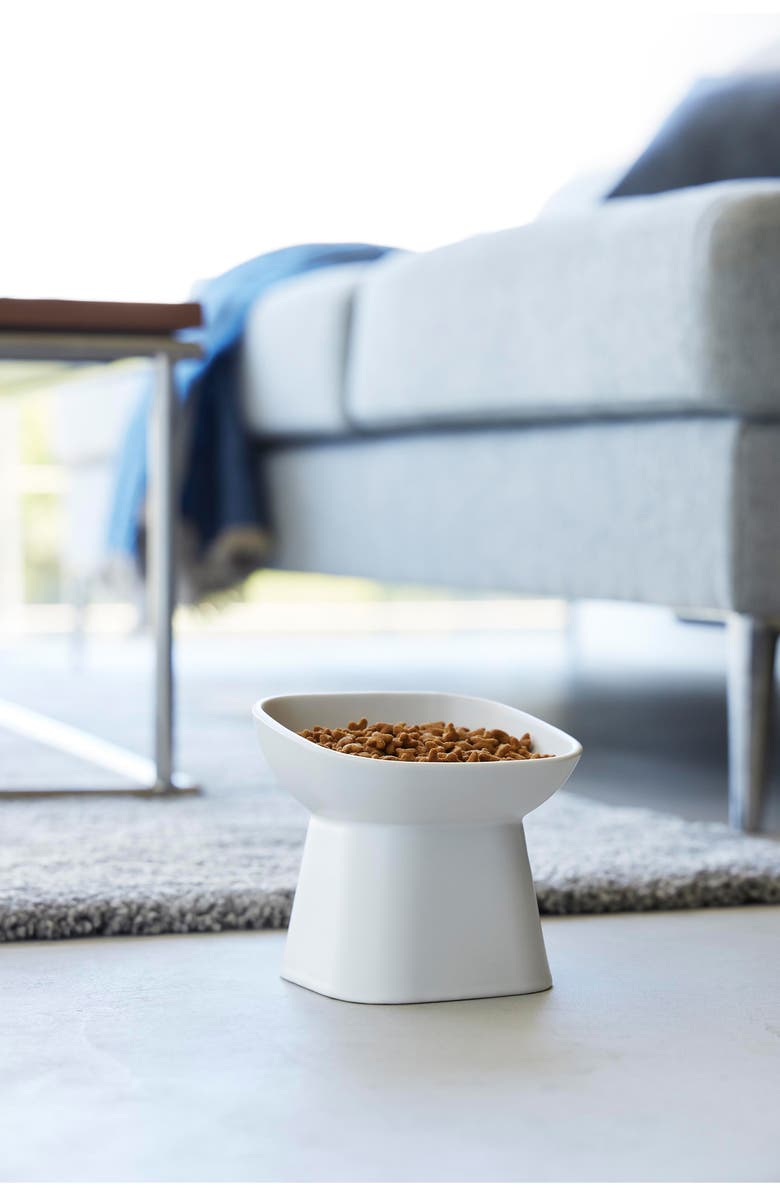 Yamazaki Tilted Pet Food Bowl, Alternate, color, White