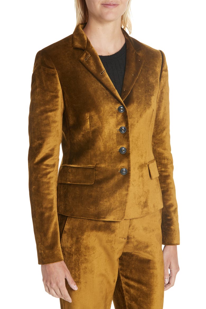 Rei Velvet Blazer, Alternate, color, OLIVE