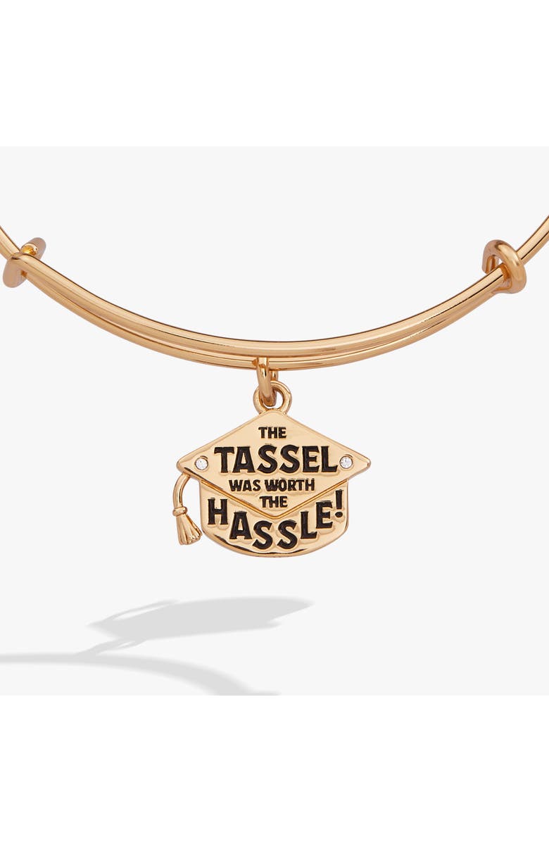 Alex and Ani "The Tassel Was Worth The Hassle" Charm Bangle, Alternate, color, 