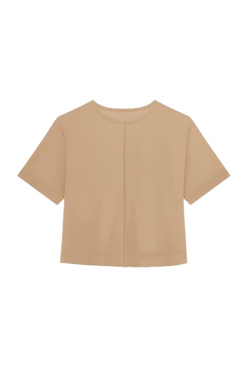 The Noli Shop Naya Suede T-shirt In Brown