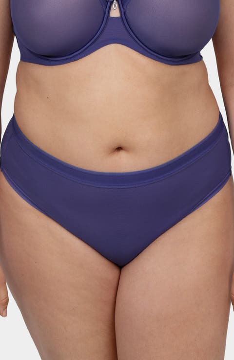 Sheer Mesh High Cut Briefs