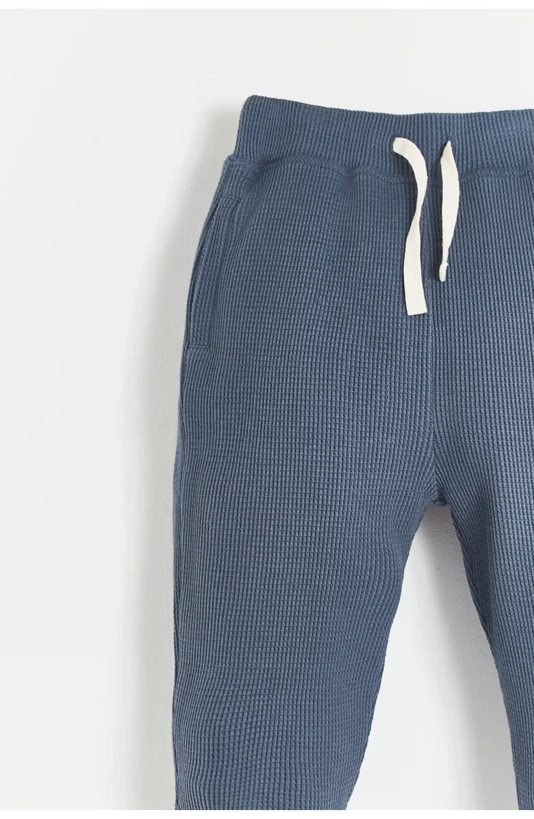 Babycottons Waffle Jogger for Little Kid & Big Kid, Alternate, color, Blue-Graphite