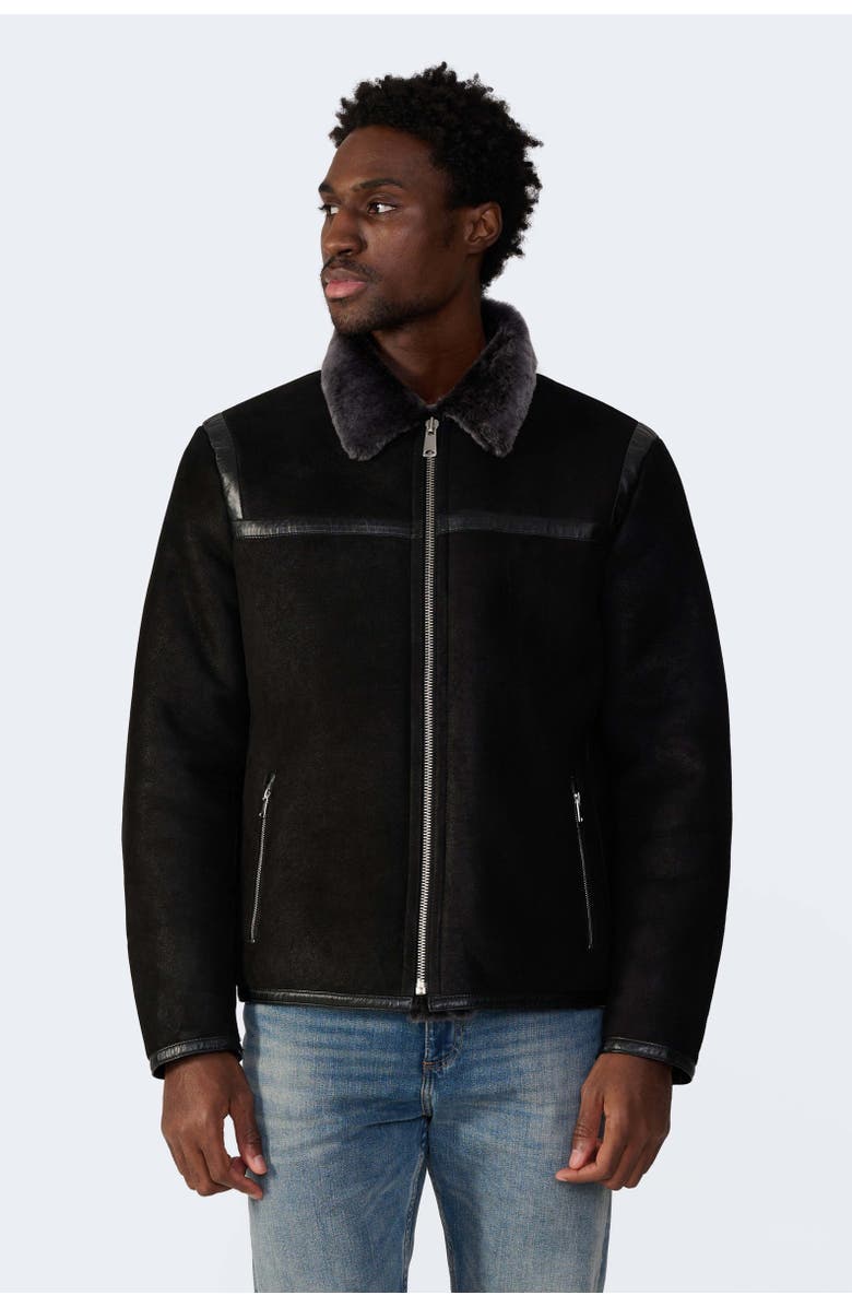 Furniq UK Hugh Shearling Jacket, Alternate, color, Black
