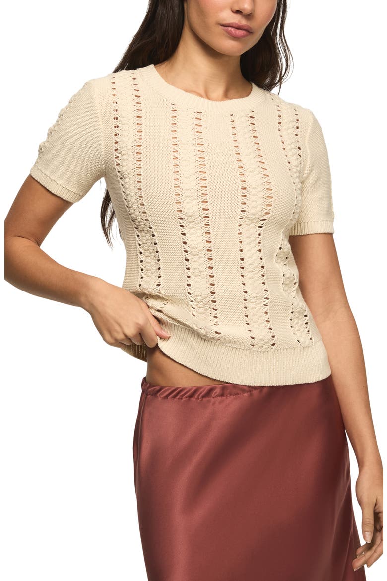 Pointelle Short Sleeve Sweater, Main, color, TURTLEDOVE