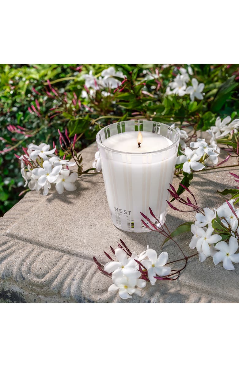 NEST New York Indian Jasmine Scented Candle, Alternate, color,