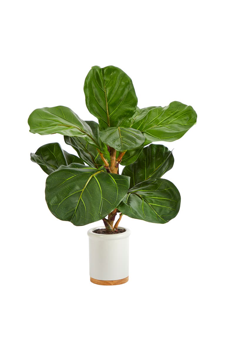 NEARLY NATURAL 21-in Fiddle Leaf Artificial Tree in White Ceramic Planter, Main, color, Green