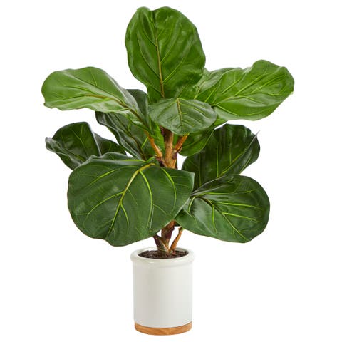 21-in Fiddle Leaf Artificial Tree in White Ceramic Planter