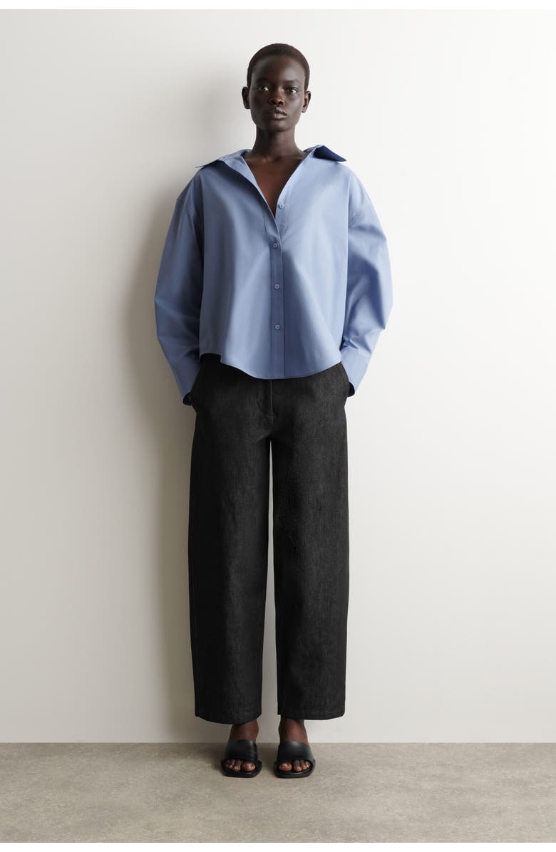 COS Open-Collar Cotton Shirt, Alternate, color, Blue