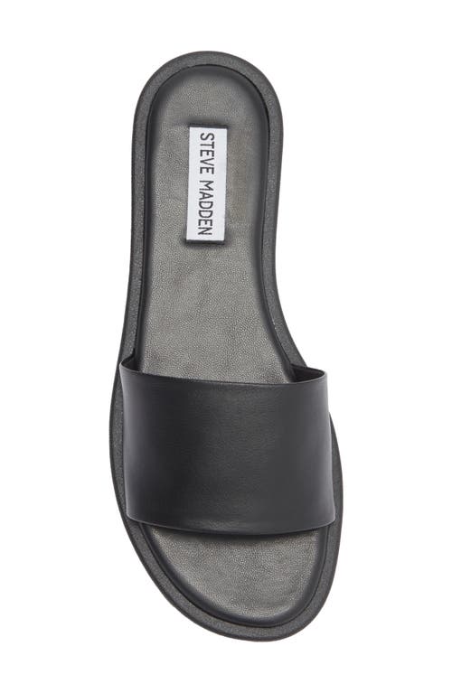 Steve Madden Riplee Slide Sandal In Black