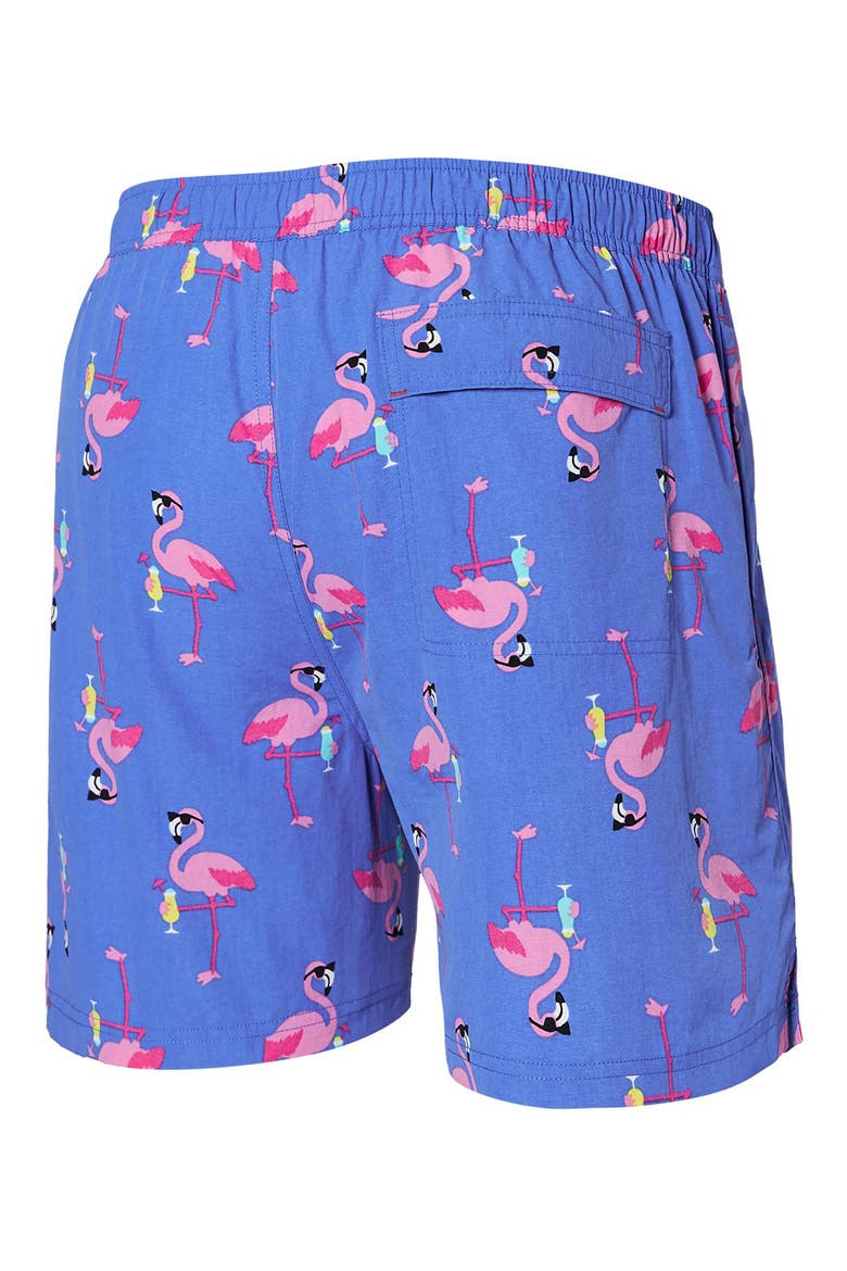 Go Coastal 2-in-1 Volley Swim Shorts, Alternate, color, FLOCKTAIL HOUR-SPORT BLUE