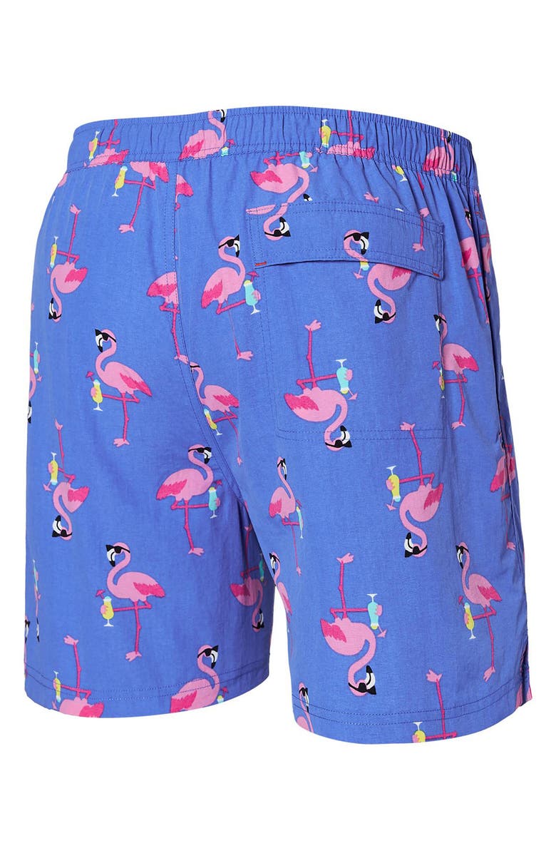 SAXX Go Coastal 2-in-1 Volley Swim Shorts, Alternate, color, 