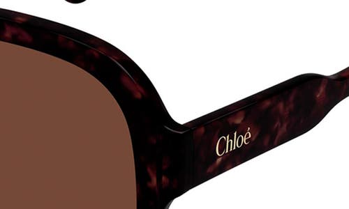 Chloé 58mm Pilot Sunglasses In Brown