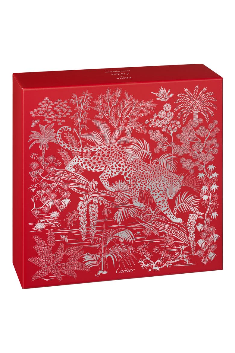 Pasha de Cartier Édition Noire Sport 2-Piece Fragrance Gift Set, Alternate, color, NO COLOR