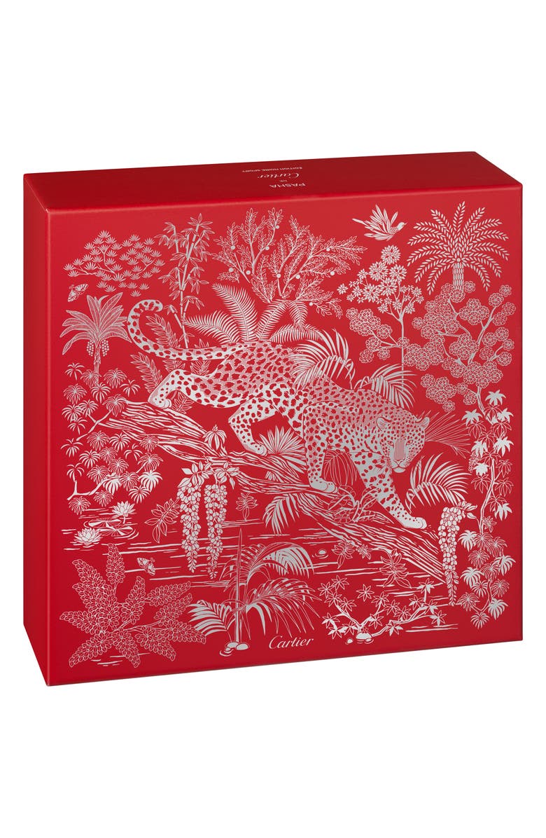 Cartier Pasha de Cartier Édition Noire Sport 2-Piece Fragrance Gift Set, Alternate, color,