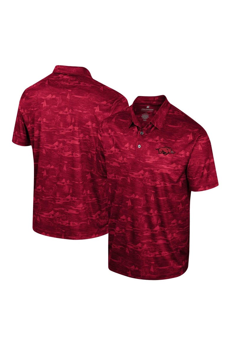 COLOSSEUM Men's Colosseum Cardinal Arkansas Razorbacks Daly Print Polo, Main, color, 