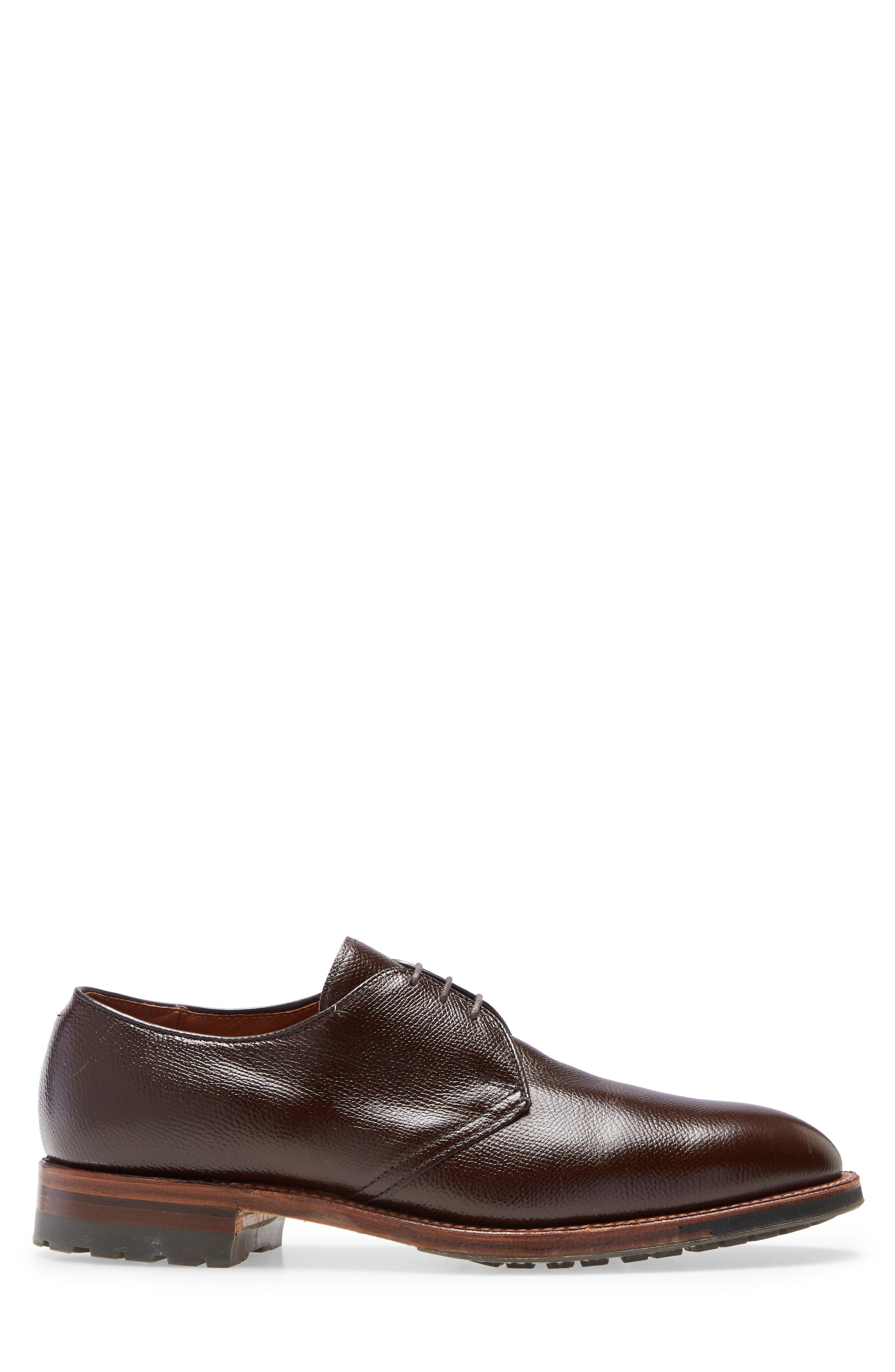 Alden Blucher Plain Toe Derby, Alternate, color, 