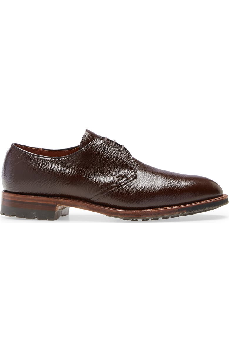Alden Blucher Plain Toe Derby, Alternate, color,
