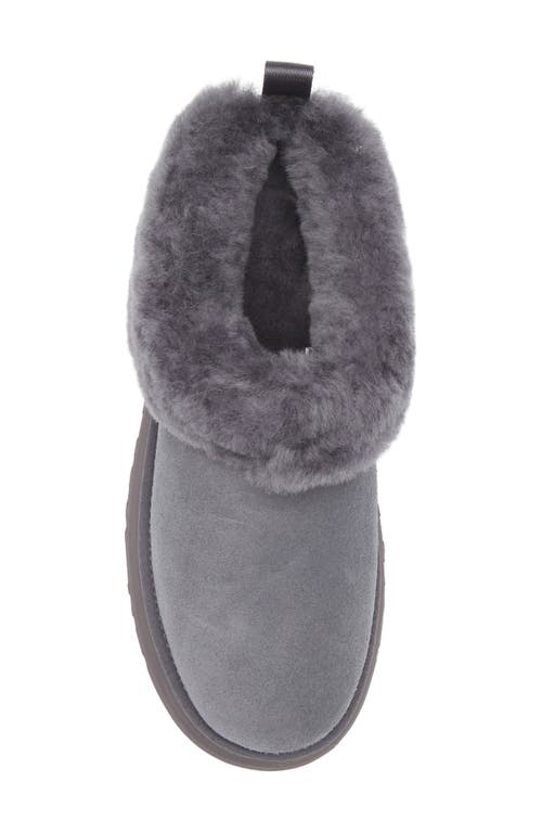 Ugg(r) Tazzelle Genuine Shearling Collar Slipper In Black