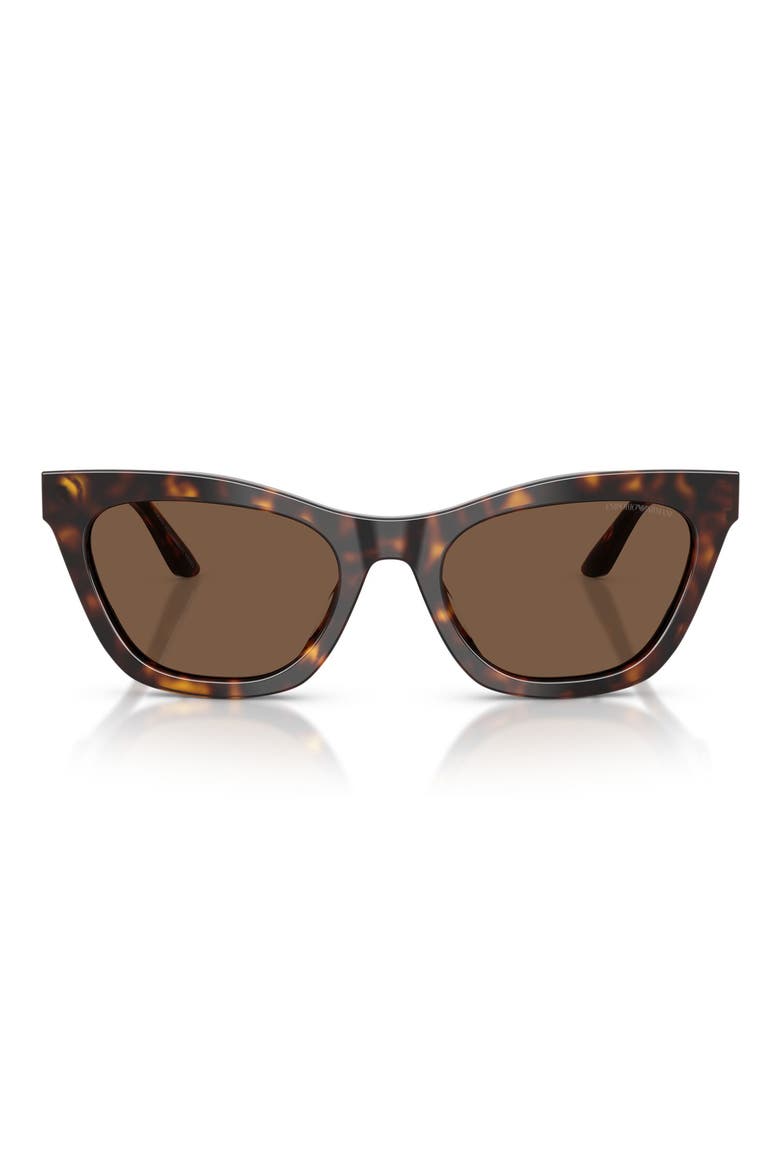 55mm Cat Eye Sunglasses, Main, color, SHINY HAVANA / BROWN