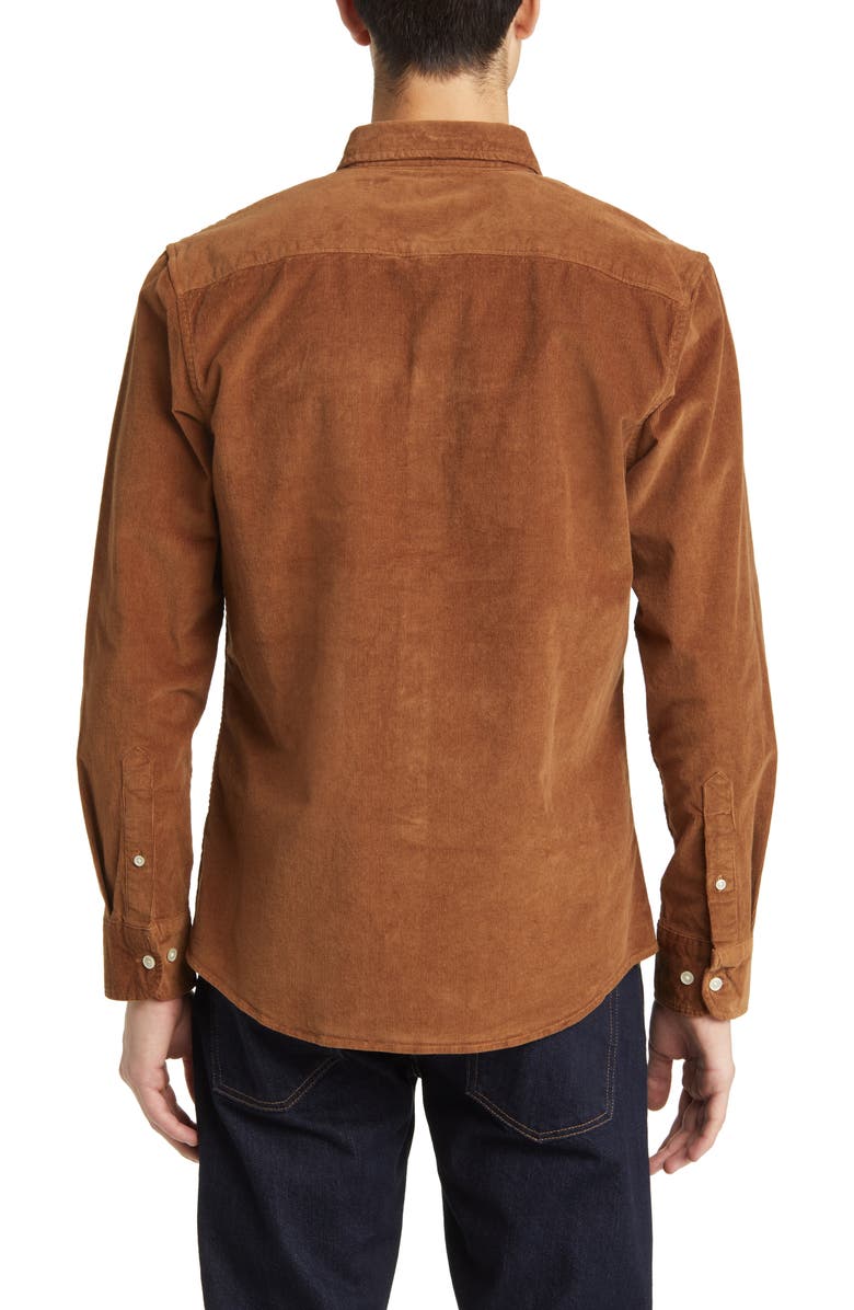 Nordstrom Tech-Smart Trim Fit Stretch Cotton Button-Down Shirt, Alternate, color, Brown Partridge