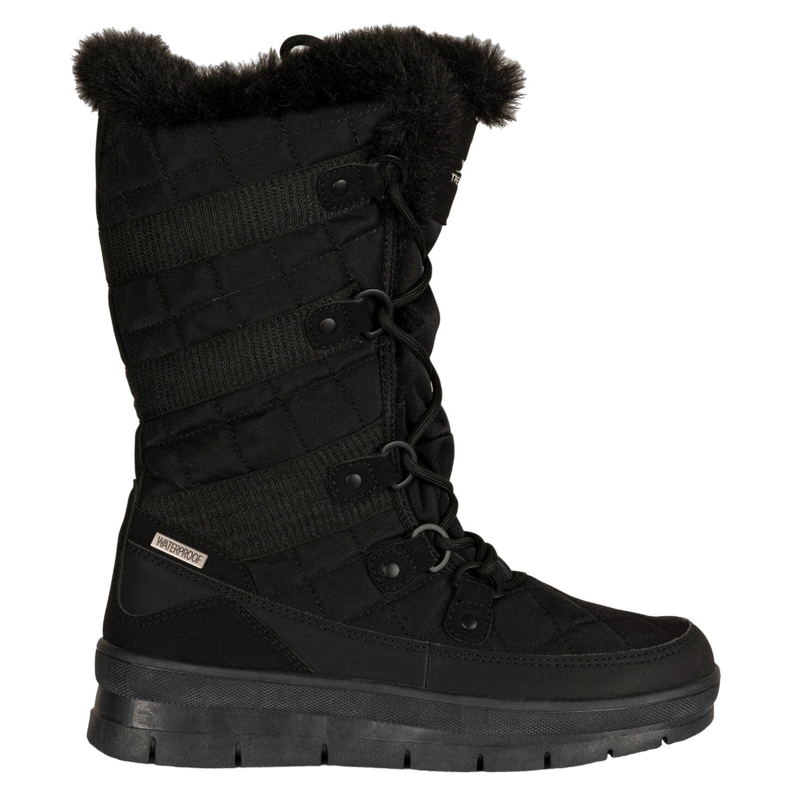Evelyn Snow Boots, Alternate, color, Black
