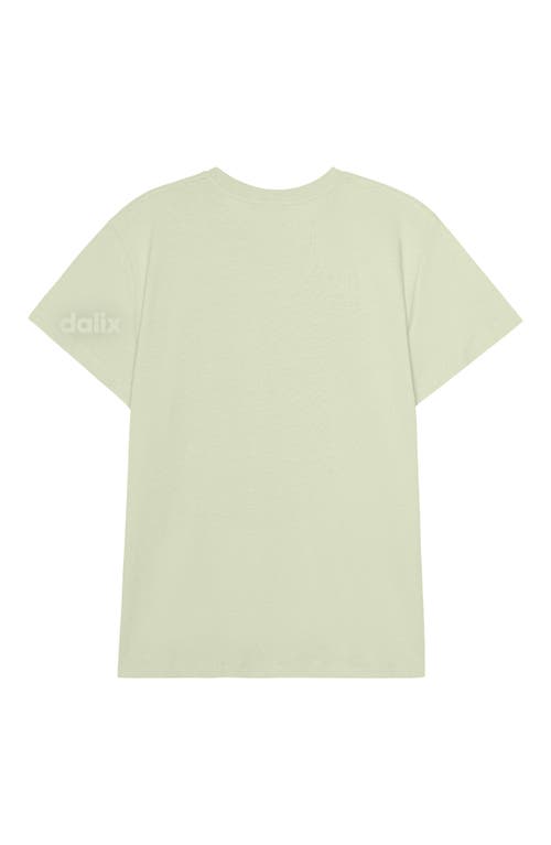 Dalix Womens Lil Peach Lightweight Everyday Tee In Green