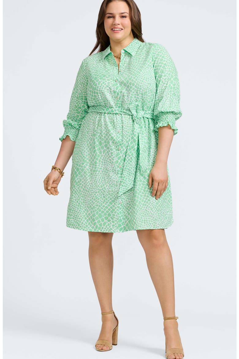 Abby Belted Linen Blend Shirtdress, Alternate, color, NEW LEAF/ WHITE