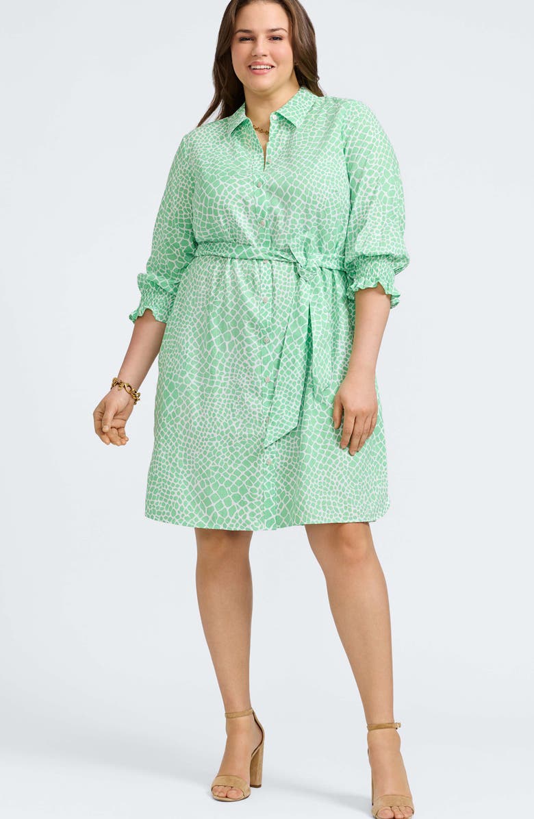 Foxcroft Abby Belted Linen Blend Shirtdress, Alternate, color, New Leaf/ White