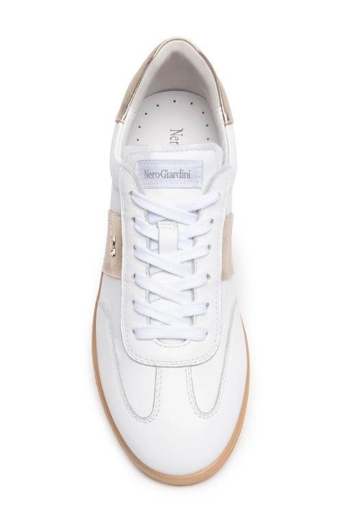 Nerogiardini Low Top Sneaker In Multi