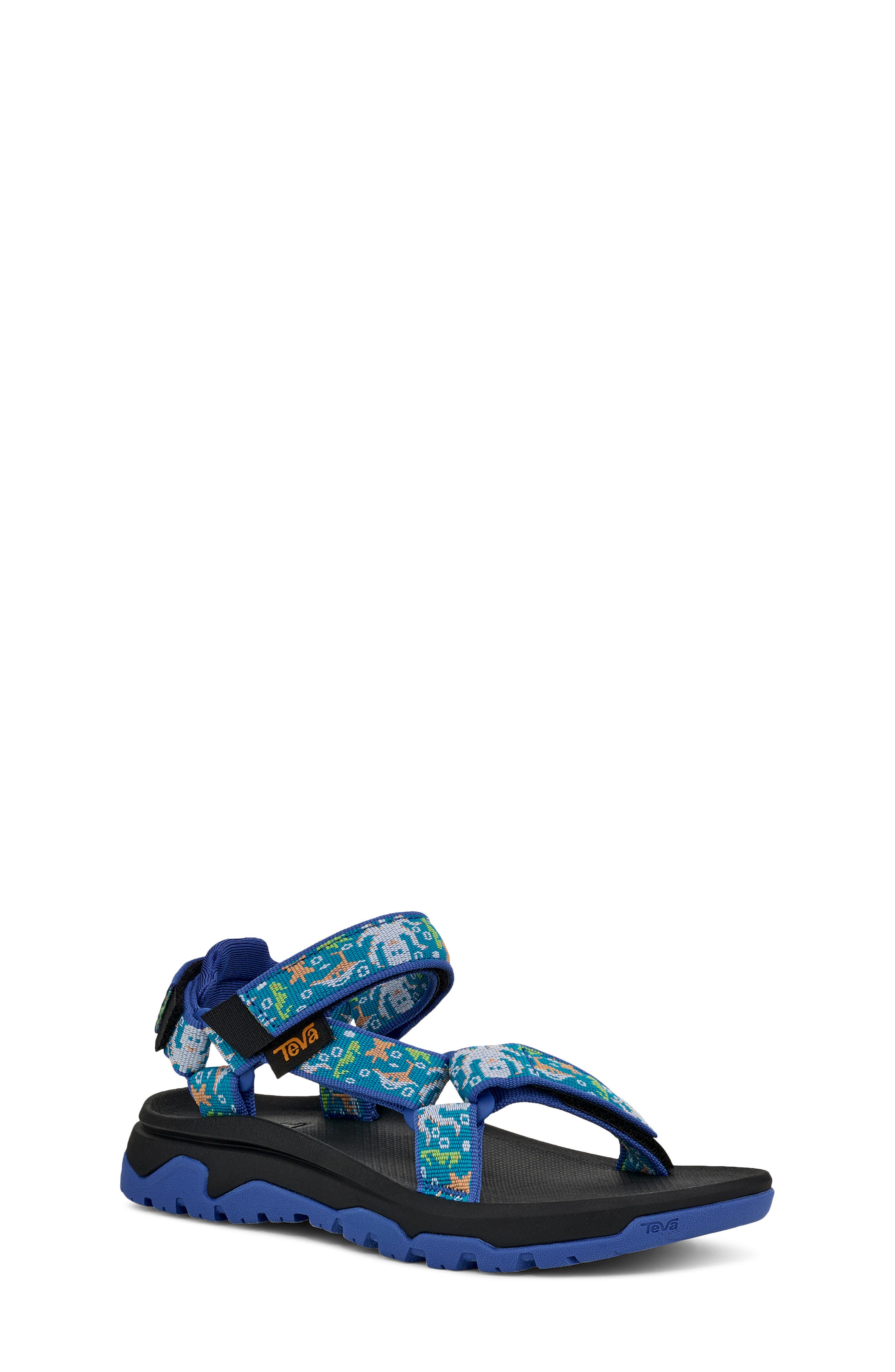  Ocean Creatures Dazzling Blue