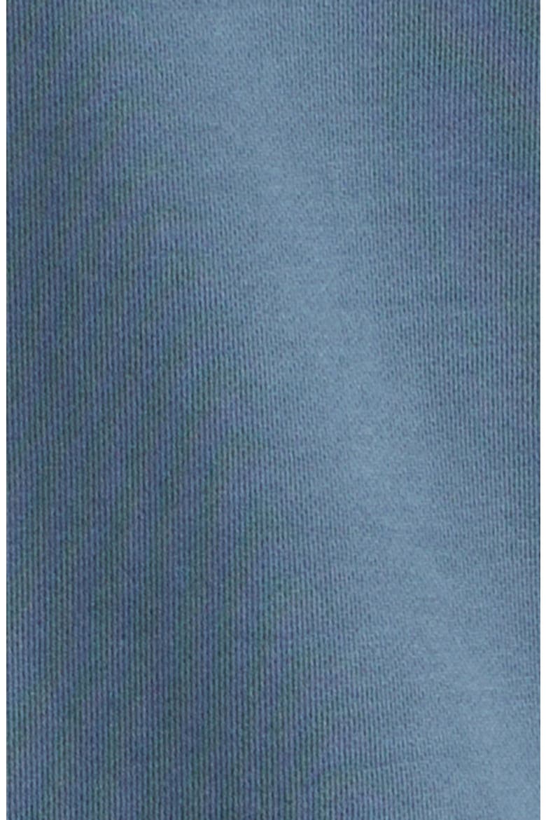 Logo Patch Cotton Hoodie, Alternate, color, V002E SLATE BLUE