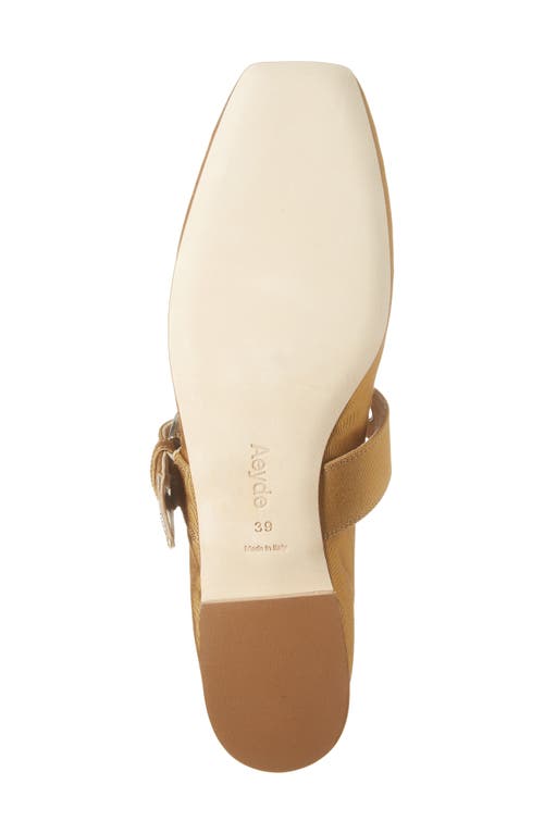 Aeyde Uma Embellished Grosgrain Mary Jane Ballet Flats In Caramel
