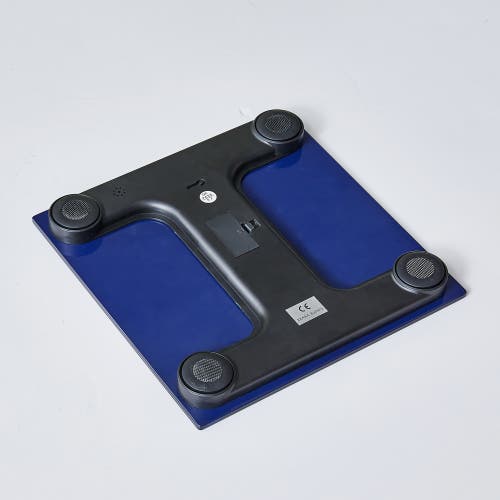 Pursonic Talking Bathroom Scale In Blue