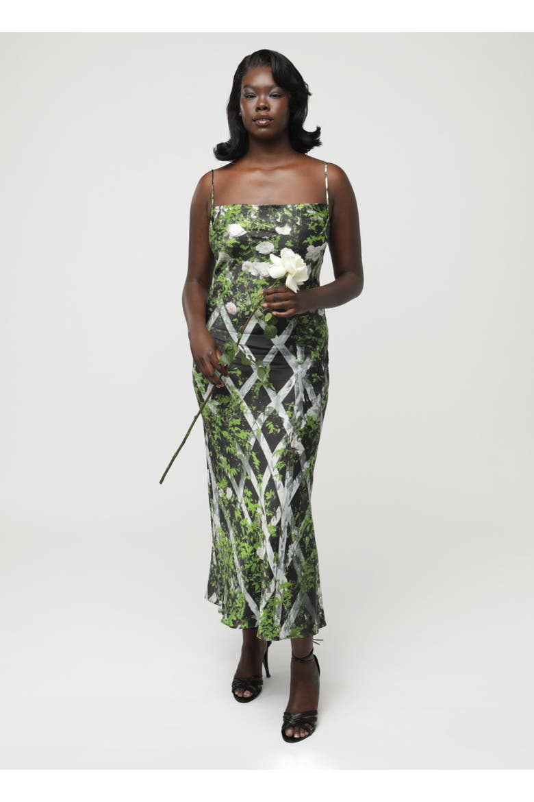 Elisa Dress, Alternate, color, Leafy Rose Trellis