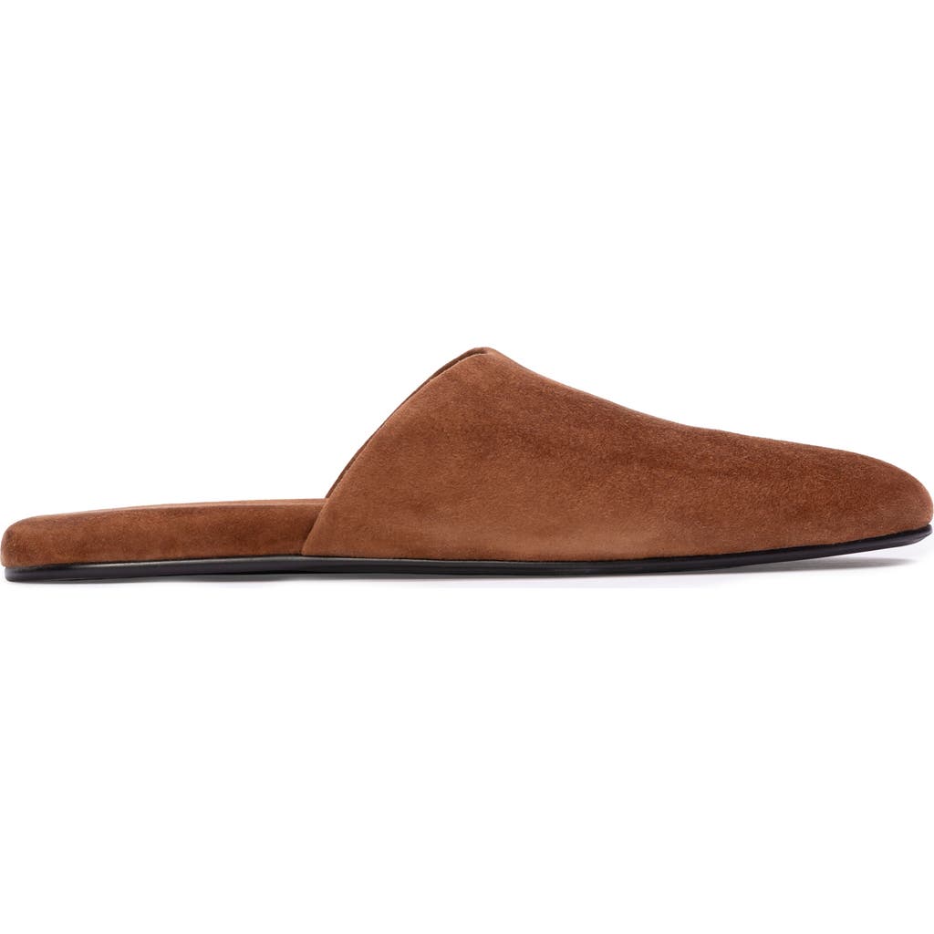 Black Suede Studio Shiloh Mule In Brown