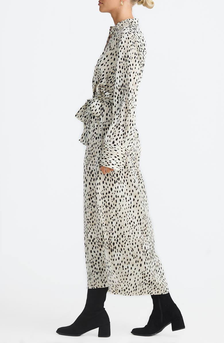 Brave+True Sampson Print Tie Waist Long Sleeve Maxi Dress, Alternate, color, Ocelot