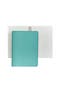  Robins Egg Blue