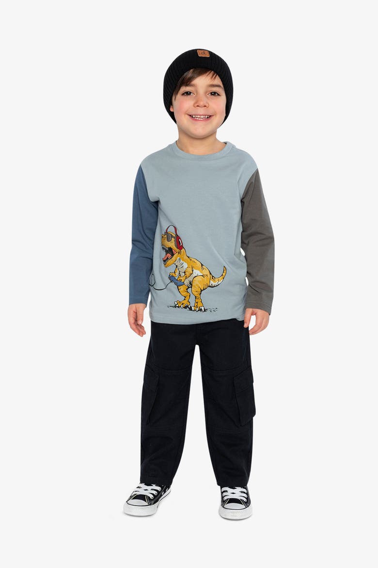 Organic Cotton Crew Neck Dino Graphic Long Sleeve T-Shirt, Alternate, color, Sky Blue