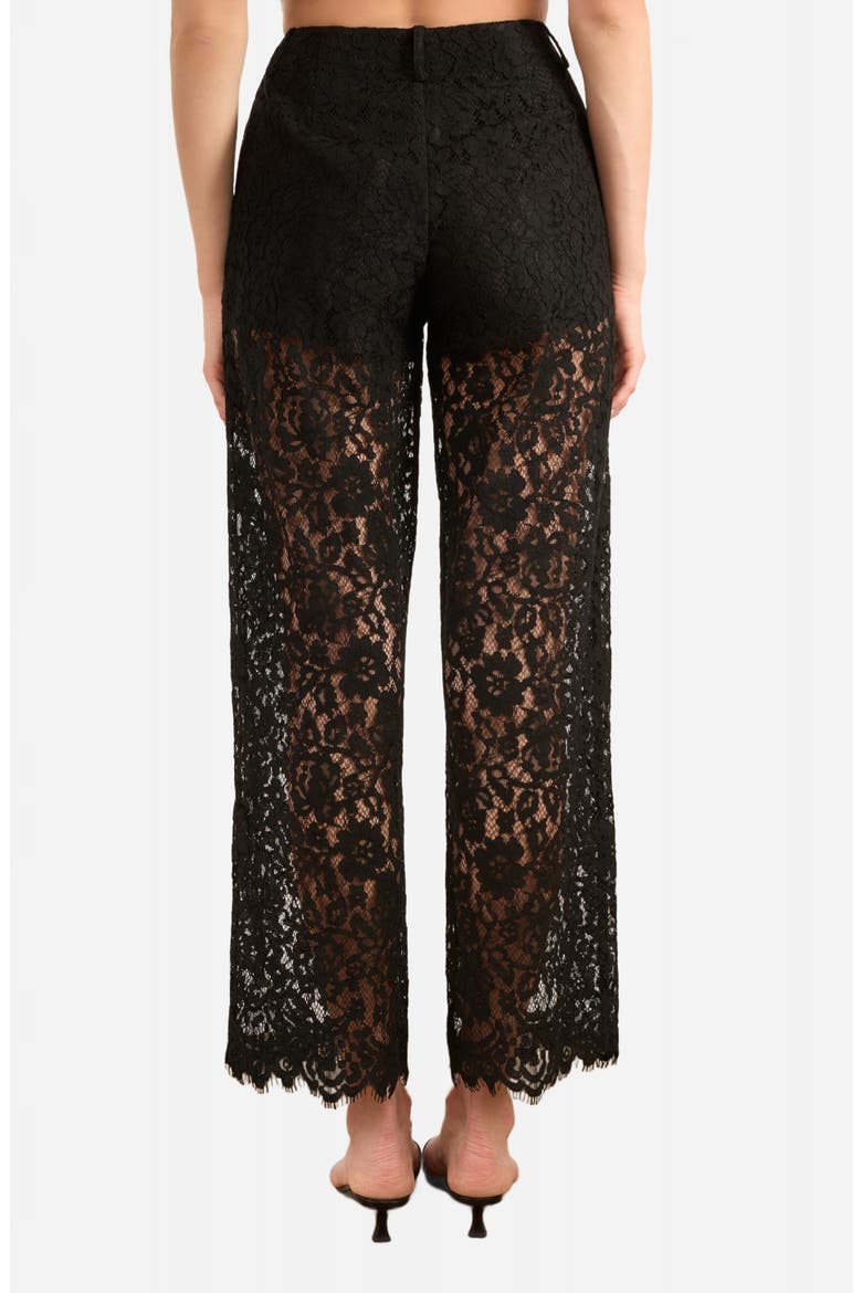 Minerva Lace Ankle Pants, Alternate, color, BLACK