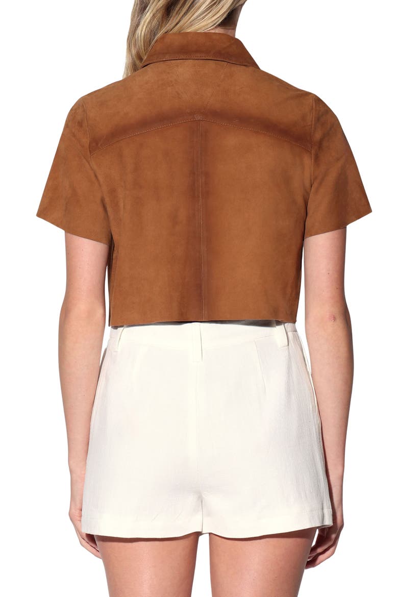 Karla Suede Top, Alternate, color, OAK SUEDE