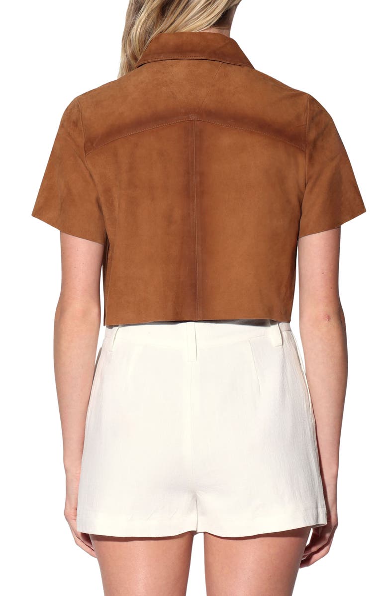 Walter Baker Karla Suede Top, Alternate, color, Oak Suede