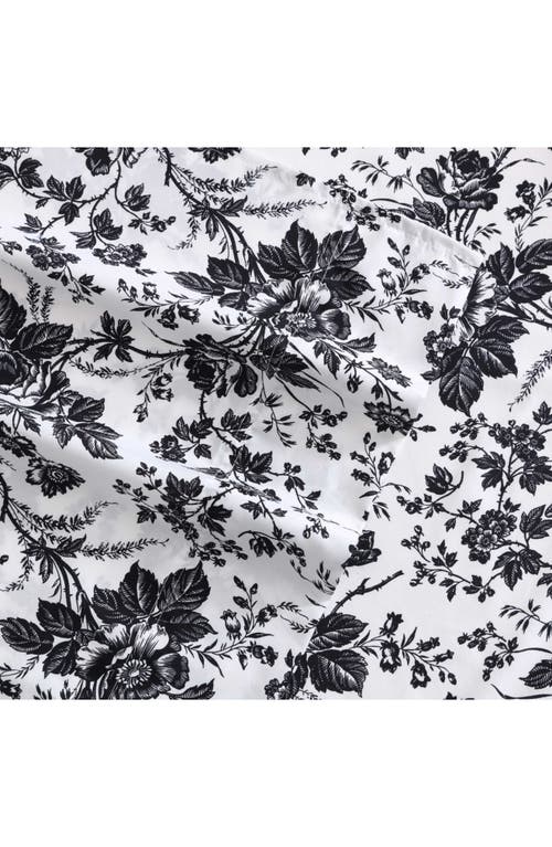 Betsey Johnson Toile Sheet Set In Black