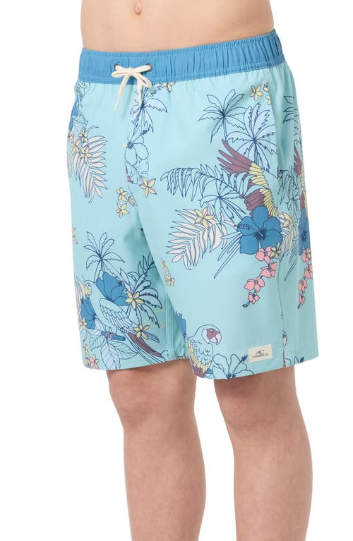 O'neill Kids' Hermosa Swim Trunks