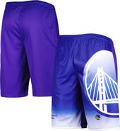 FANATICS Men's Fanatics Branded Royal Golden State Warriors Graphic Shorts