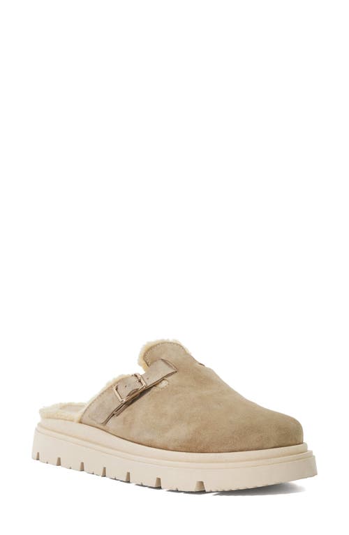 Dune London Gene Faux Shearling Slipper in Sand 